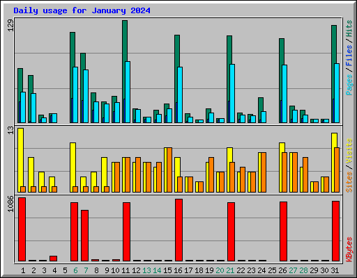 Daily usage for January 2024