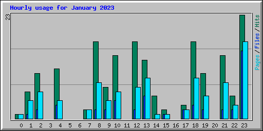 Hourly usage for January 2023
