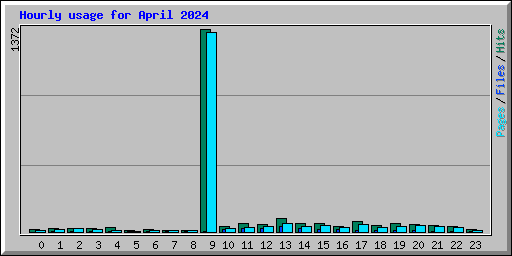 Hourly usage for April 2024