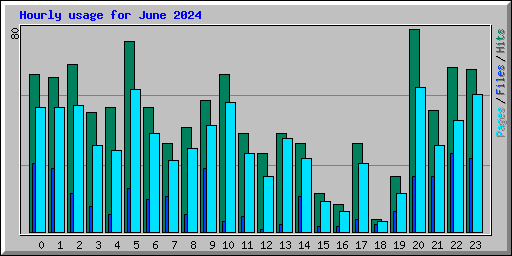 Hourly usage for June 2024