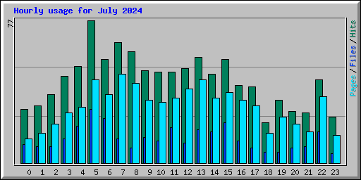 Hourly usage for July 2024