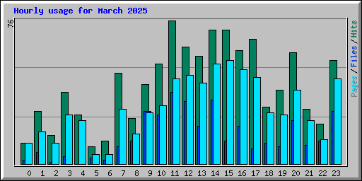 Hourly usage for March 2025