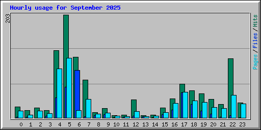 Hourly usage for September 2025