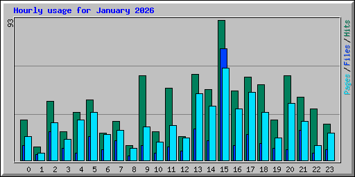 Hourly usage for January 2026